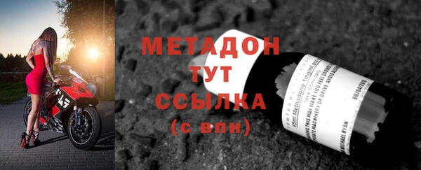 стаф Алзамай