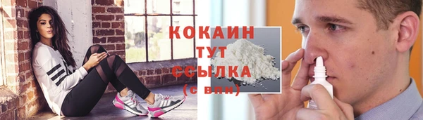 стаф Алзамай