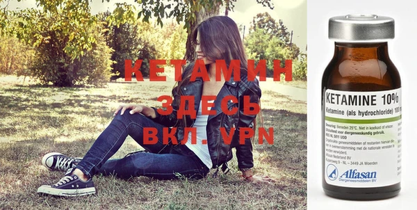 стаф Алзамай