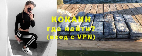 стаф Алзамай