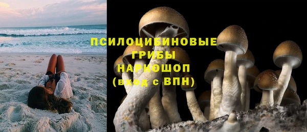 мет Абаза