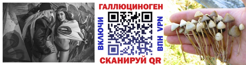 блэк спрут как зайти  Тотьма  Псилоцибиновые грибы Psilocybe  продажа наркотиков 